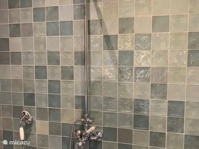 Maison au calme dans une belle campagne | Pays-Bas, Hollande méridionale, Groot Ammers - ferme Salle de bain avec double vasque, un WC avec un siège en bois et une douche spacieuse avec un large jet et un siège