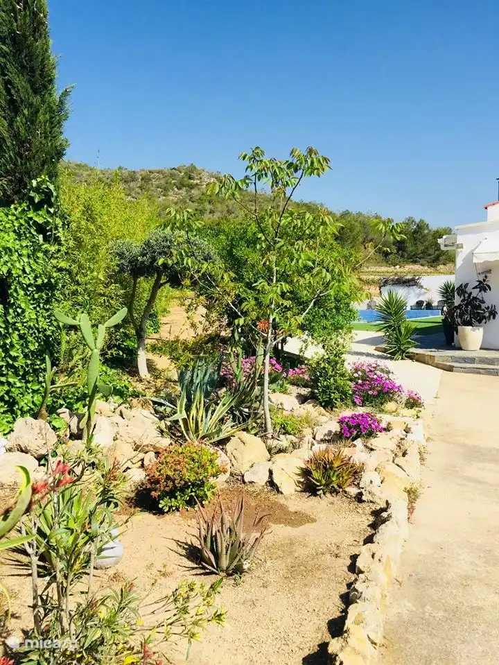Rock garden with cacti entrance.