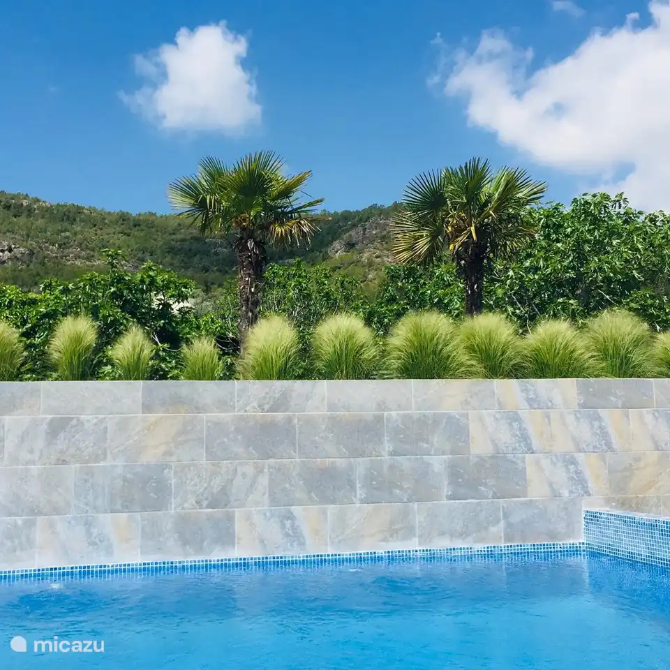 Swimming pool, garden