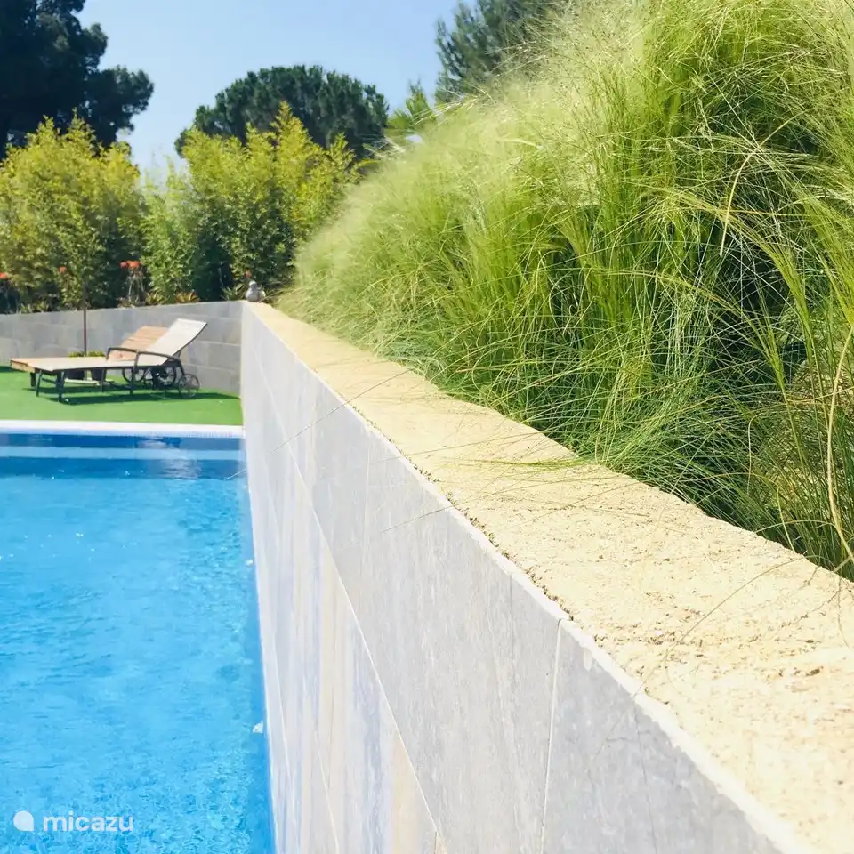 Grasses pool