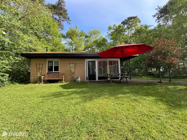 Casa del bosque Twente en Países Bajos, Overijssel, Denekamp - bungaló casa en el lado sur con amplio jardín y zonas de estar