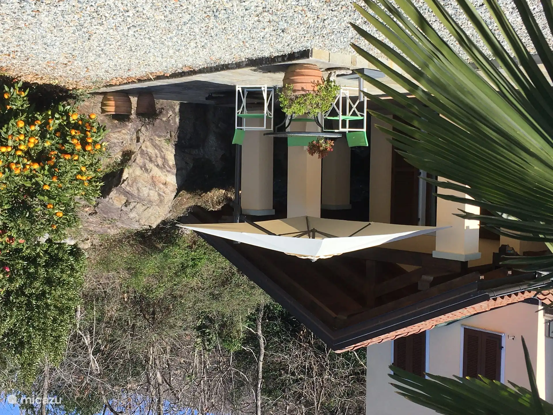 Our lovely terrace with orange tree and blooming camellia is sheltered by the rock on the north side and the sun from the south. 