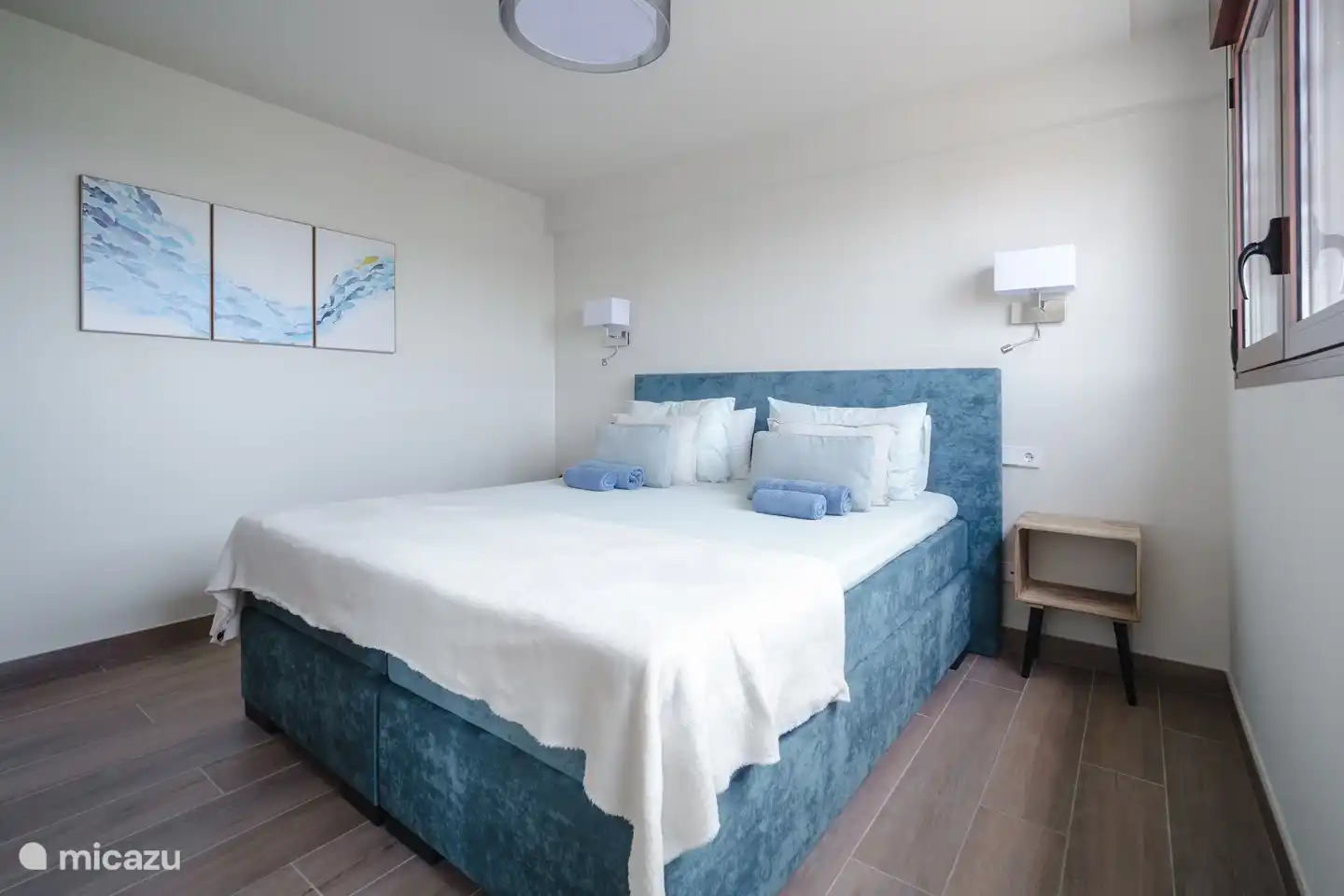 Master bedroom with walk-in closet and view of the Montgo.