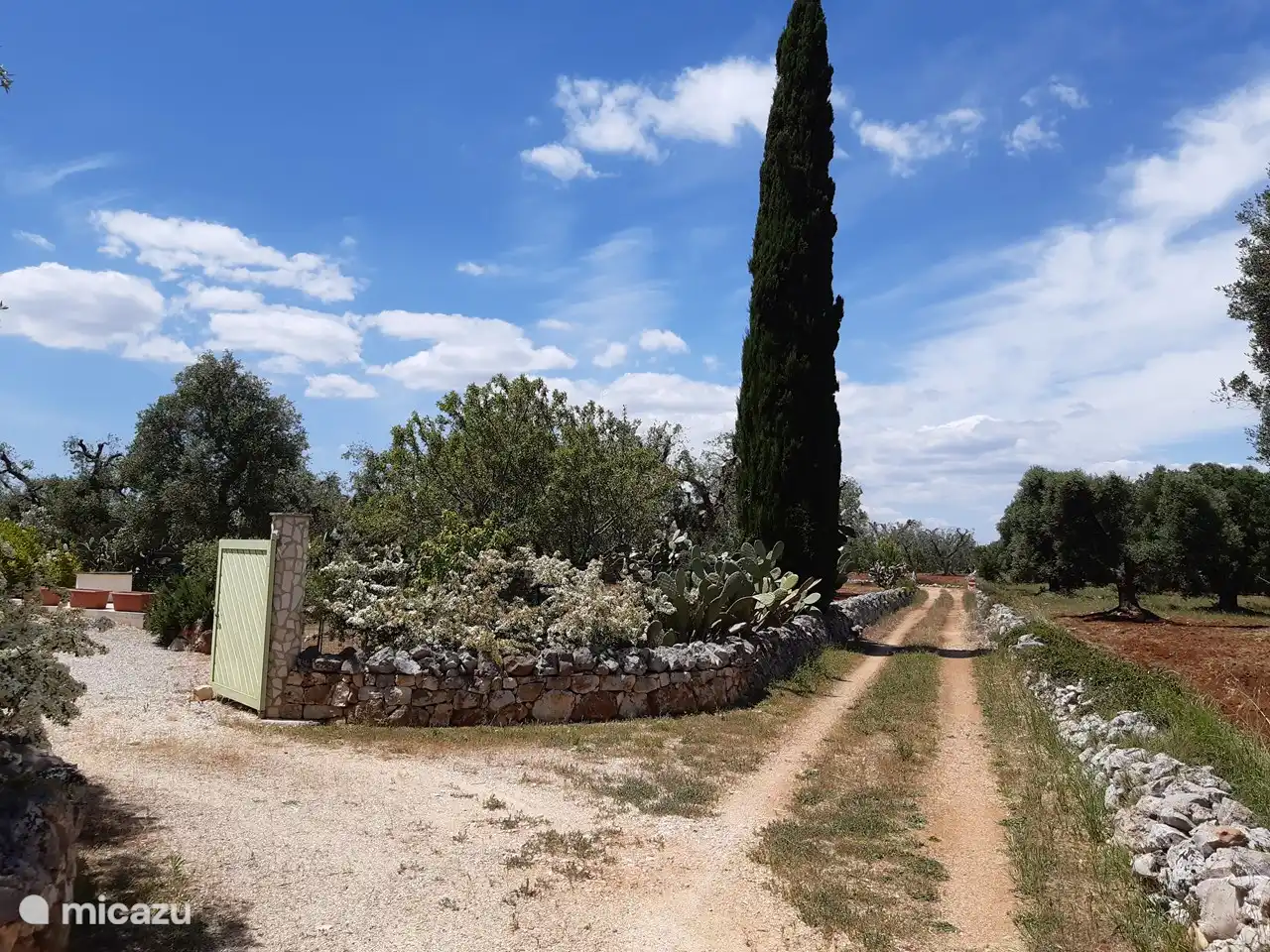 The driveway and entrance on the left