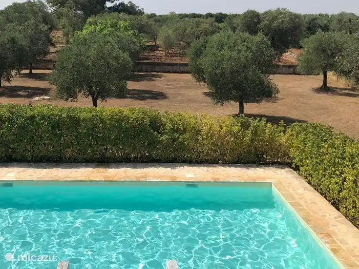 View over the swimming pool and garden with olive trees