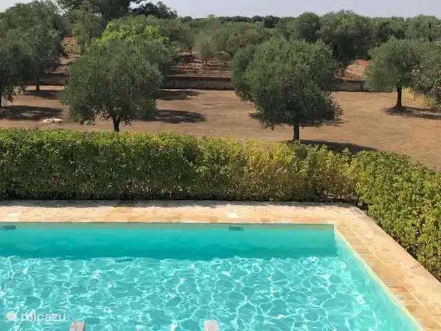 vakantiehuis huren in Italië, Apulië (Puglia), San Vito dei Normanni – Villa Pera - privé zwembad 10x5 m Blik over zwembad en tuin met olijfbomen