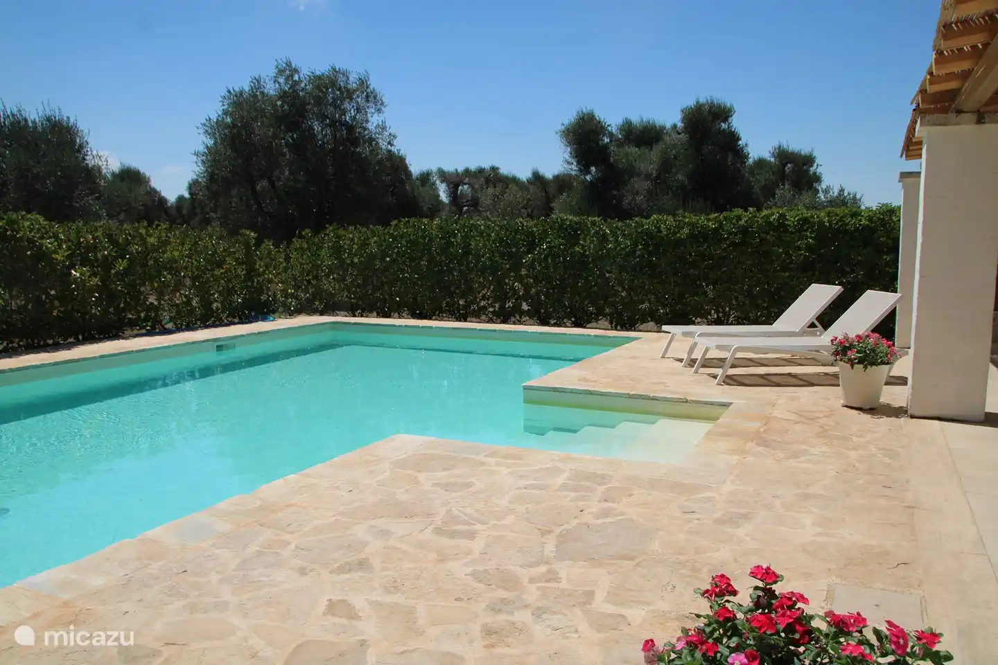 The pool is surrounded by greenery, such as olive trees, cacti and some fruit trees.
