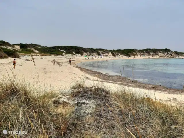 vakantiehuis huren in Italië, Apulië (Puglia), San Vito dei Normanni – Villa Pera - privé zwembad 10x5 m Strand Torrce Guaceto - 12 km