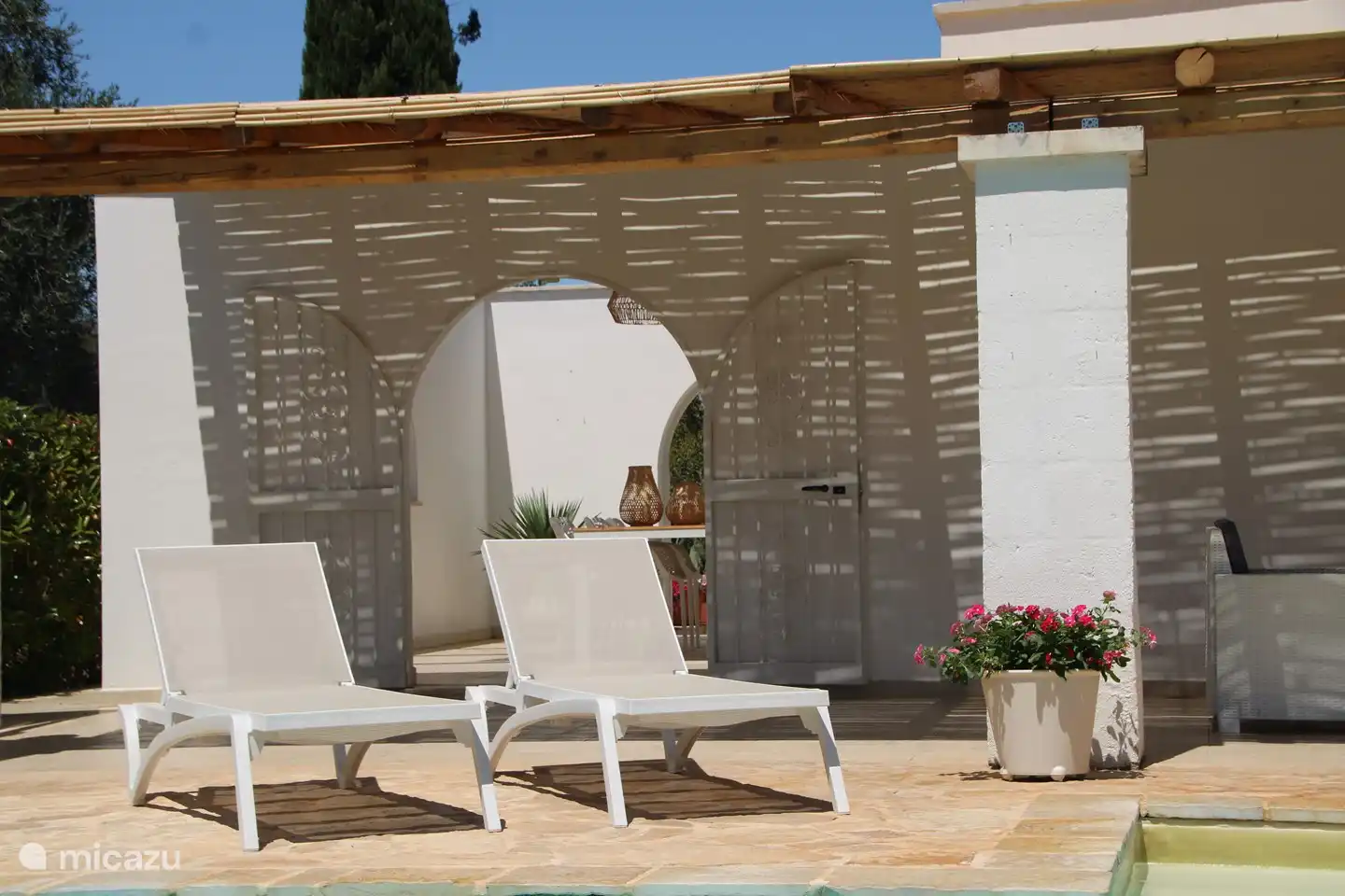 Relaxing by the pool