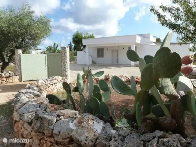 vakantiehuis huren in Italië, Apulië (Puglia), San Vito dei Normanni – Villa Pera - privé zwembad 10x5 m Voorzijde met ruim voldoende parkeerruimte.