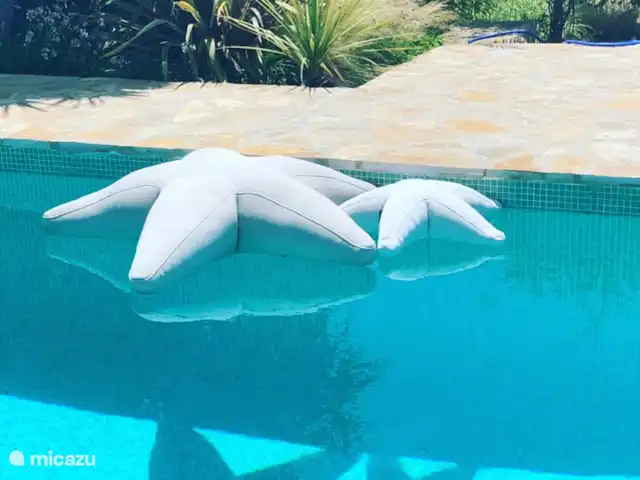 Villa avec Alma | Javea | Espagne, Costa Blanca, Jávea - villa Villa con Alma, étoile de mer vue piscine