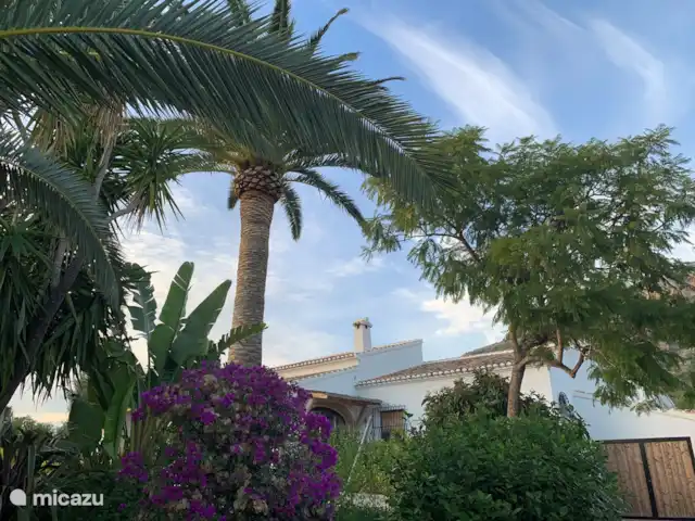 Villa avec Alma | Javea | Espagne, Costa Blanca, Jávea - villa Villa con Alma, détails du jardin