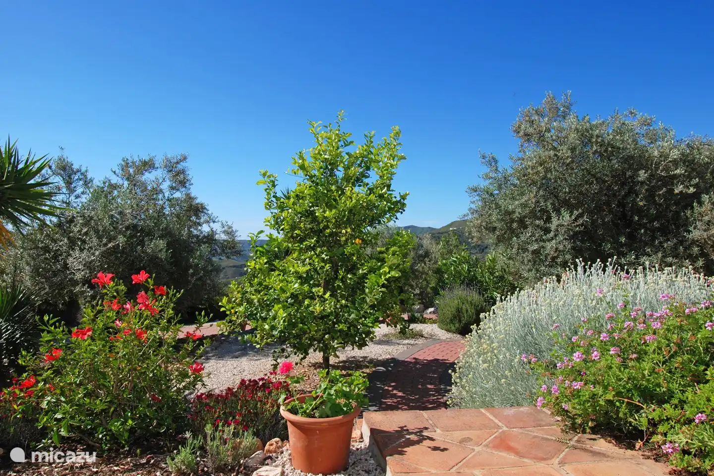 Unser Garten ist auch ein bisschen unser Stolz.