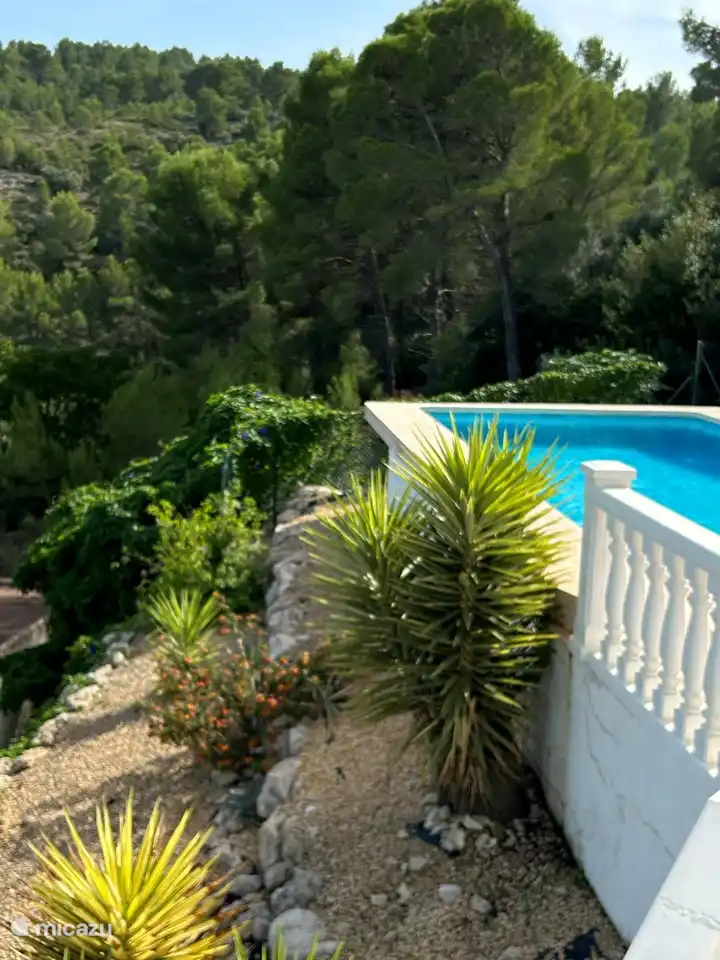 Tropischer Garten am Pool mit angrenzendem Naturschutzgebiet