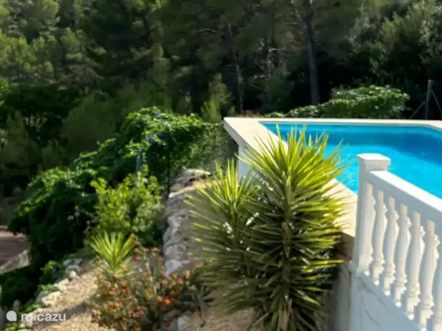 Casa Rena huren in Spanje, Costa Blanca, Orba - villa Tropische tuin bij het zwembad met aangrenzend natuurgebied