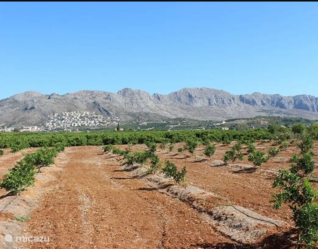 Das Orba-Tal mit Orangen- und Mandelb&#228;umen