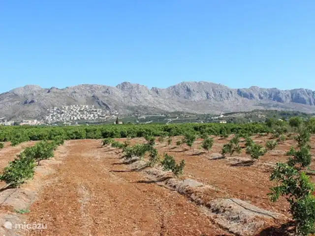 Casa Rena huren in Spanje, Costa Blanca, Orba - villa De Orba vallei met sinasappel en amandelbomen
