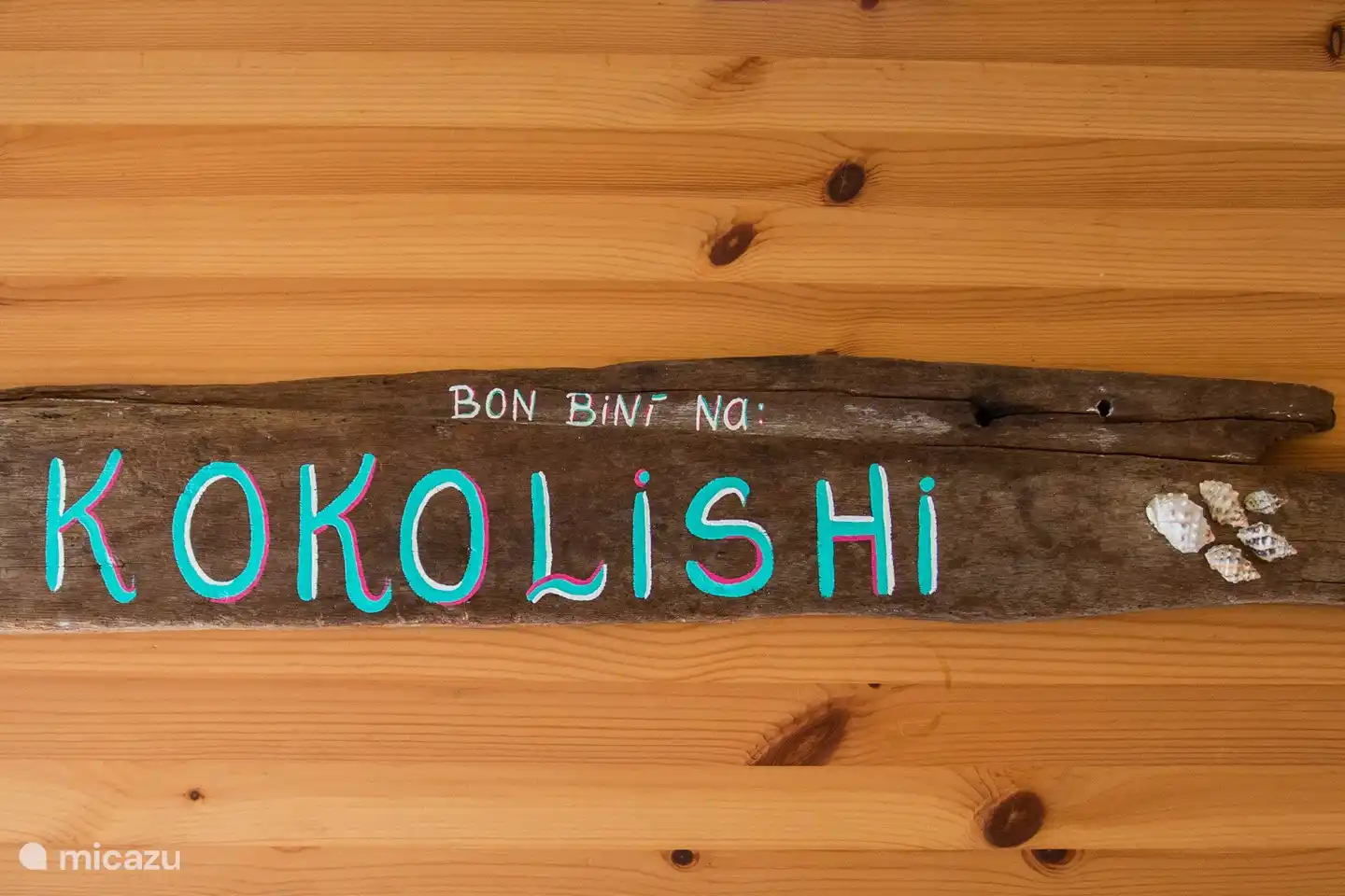 Kokolishi est un petit coquillage que l'on voit beaucoup sur l'île