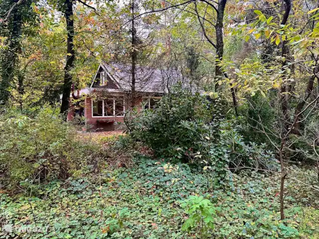 Maison forestière Nunspeet B40 | Pays-Bas, Gueldre, Nunspeet - maison de vacances Maison forestière Nunspeet B40 | Pays-Bas, Gueldre, Nunspeet - maison de vacances
