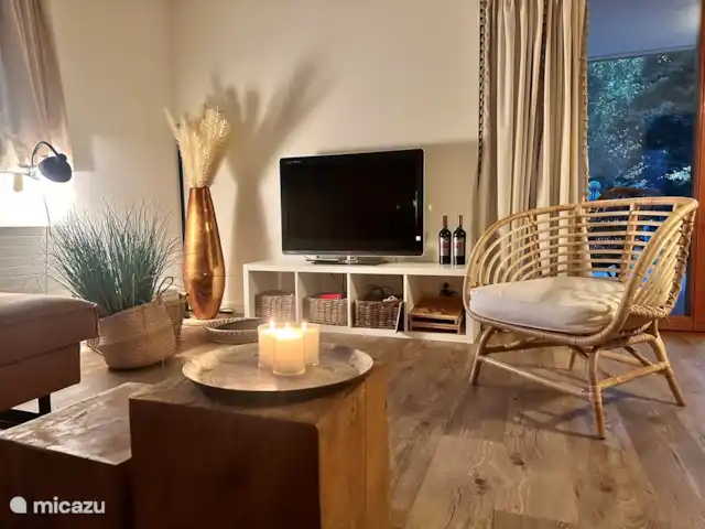 Maison forestière Nunspeet B40 | Pays-Bas, Gueldre, Nunspeet - maison de vacances TV intelligente avec grand écran