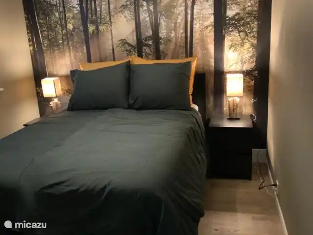 Maison forestière Nunspeet B40 | Pays-Bas, Gueldre, Nunspeet - maison de vacances chambre principale rez-de-chaussée