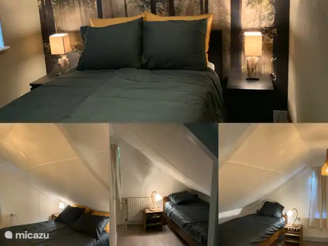 Maison forestière Nunspeet B40 | Pays-Bas, Gueldre, Nunspeet - maison de vacances aperçu des 4 chambres