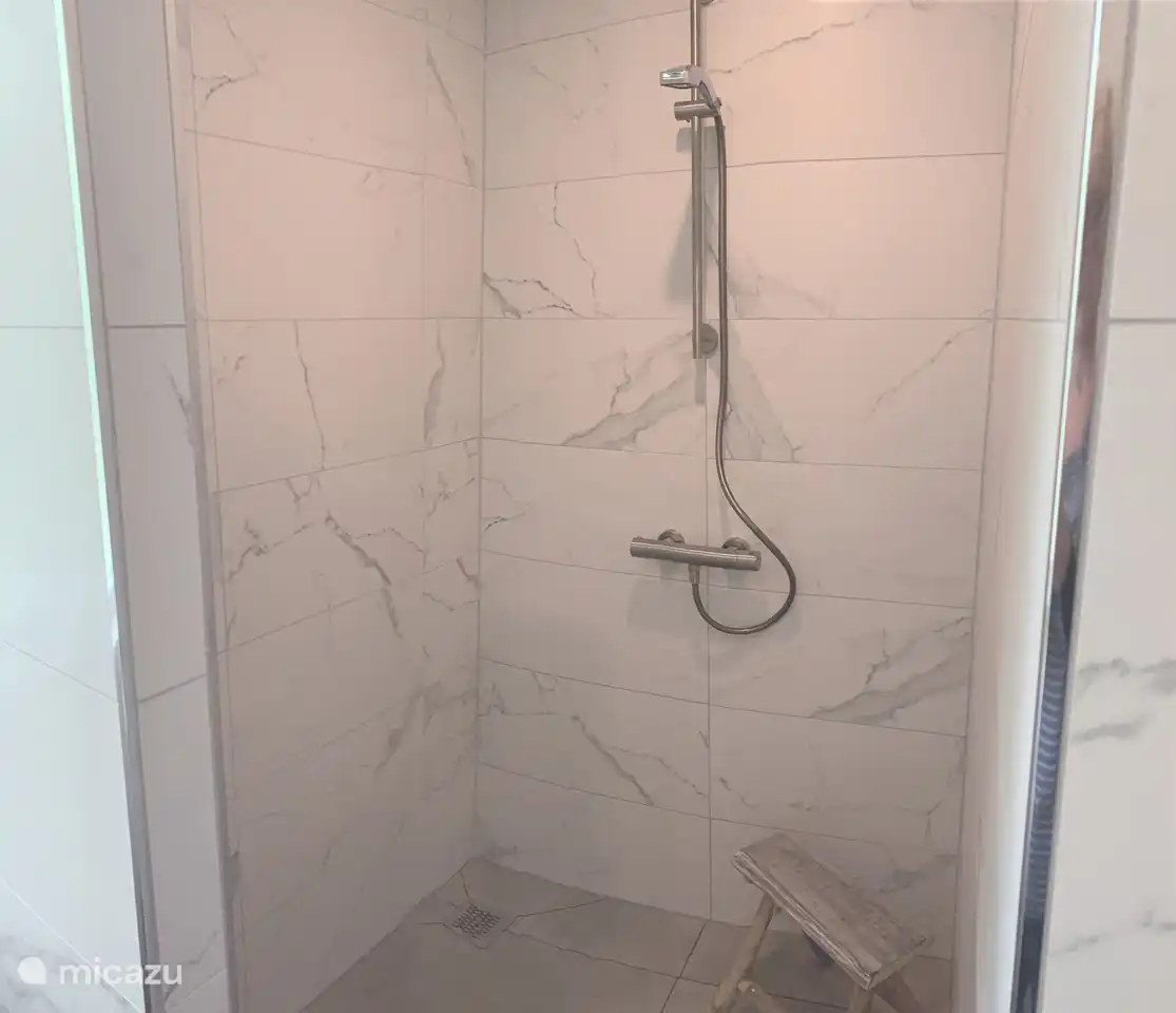 geräumige, moderne begehbare Dusche