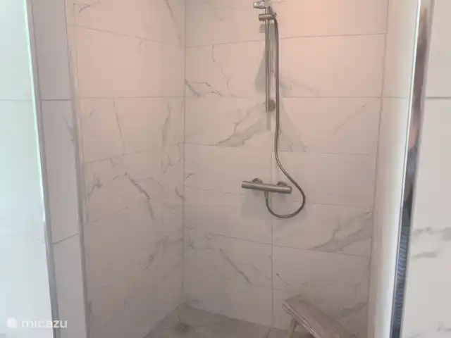 Maison forestière Nunspeet B40 | Pays-Bas, Gueldre, Nunspeet - maison de vacances douche à l'italienne spacieuse et moderne