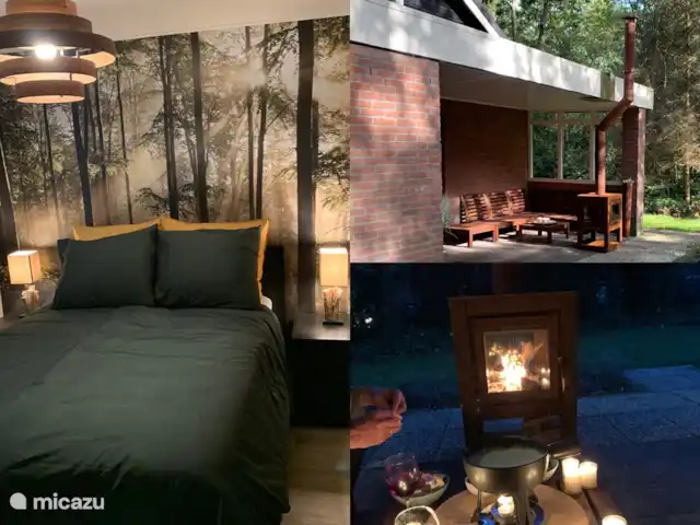 Maison forestière Nunspeet B40 | Pays-Bas, Gueldre, Nunspeet - maison de vacances impression atmosphérique