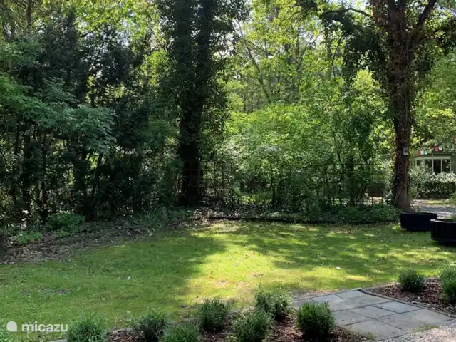 Maison forestière Nunspeet B40 | Pays-Bas, Gueldre, Nunspeet - maison de vacances Entouré d'un grand jardin boisé et clôturé au milieu de la verdure, voici le jardin de devant.