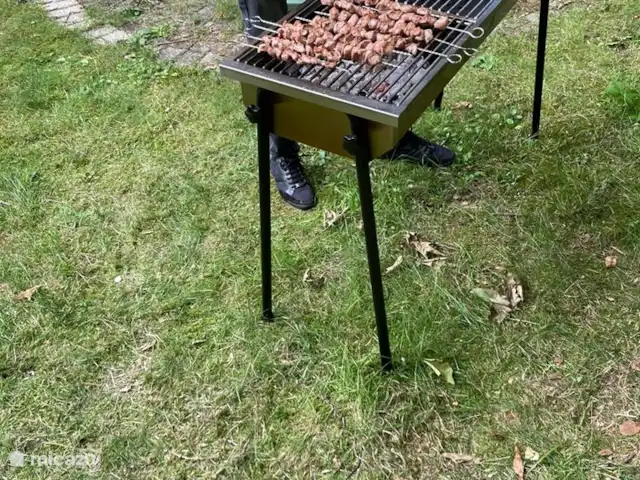 Maison forestière Nunspeet B40 | Pays-Bas, Gueldre, Nunspeet - maison de vacances BBQ spacieux disponible