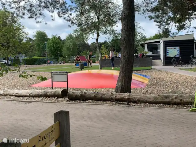 Maison forestière Nunspeet B40 | Pays-Bas, Gueldre, Nunspeet - maison de vacances coussin de jeu, surveillez les enfants sur la terrasse de la brasserie