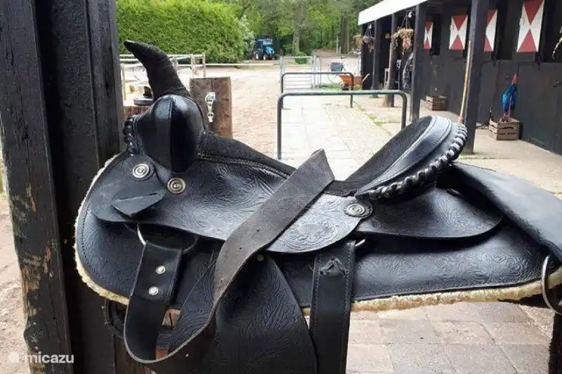 Reitschule im Park, Ausritte im Wald, aber auch ein Spazierpony für die Kleinen ist möglich