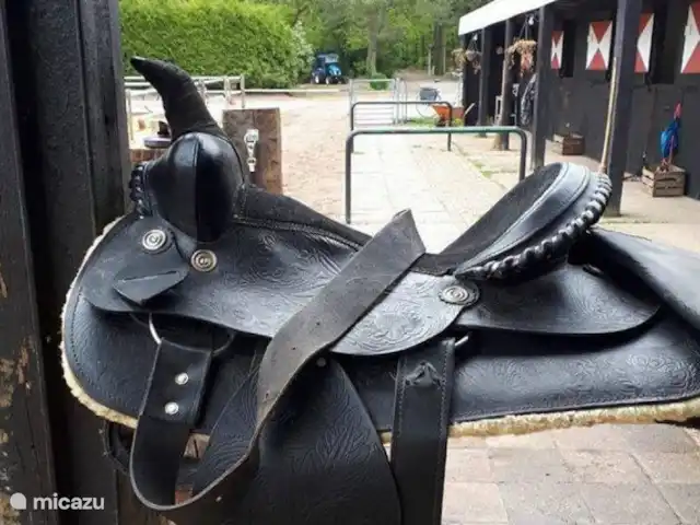 Maison forestière Nunspeet B40 | Pays-Bas, Gueldre, Nunspeet - maison de vacances centre équestre dans le parc, balades en forêt, mais promenade à poney pour les plus petits est également possible