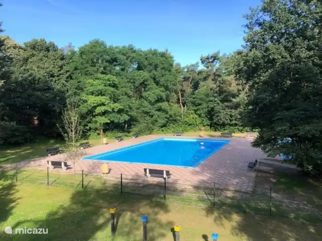 Maison forestière Nunspeet B40 | Pays-Bas, Gueldre, Nunspeet - maison de vacances Belle piscine extérieure
