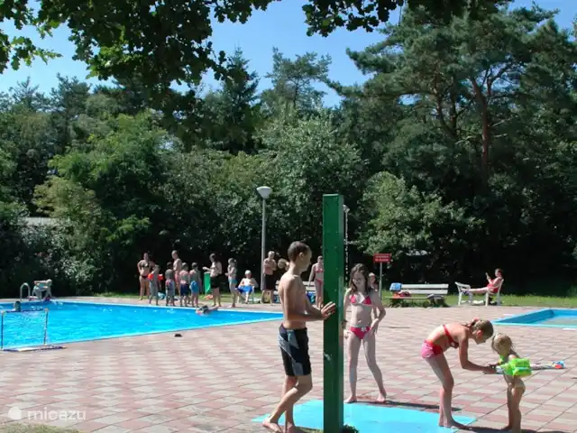 Maison forestière Nunspeet B40 | Pays-Bas, Gueldre, Nunspeet - maison de vacances La piscine extérieure est librement accessible aux clients