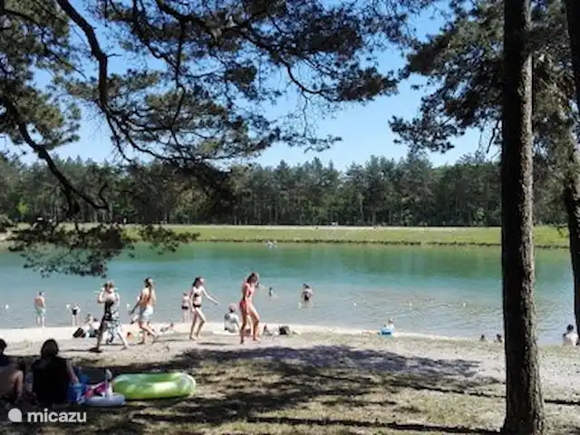 Maison forestière Nunspeet B40 | Pays-Bas, Gueldre, Nunspeet - maison de vacances Le Zandenplas est à 5 minutes et vous pourrez vous détendre sur la plage par beau temps et barboter en plein été.