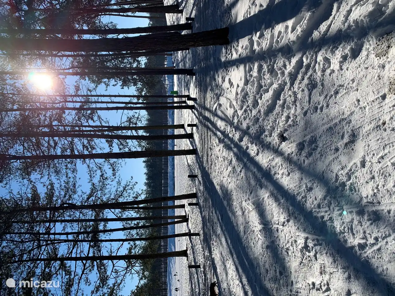 Es ist auch ein guter Ort im Winter... Schlittschuhlaufen auf dem Zandenplas