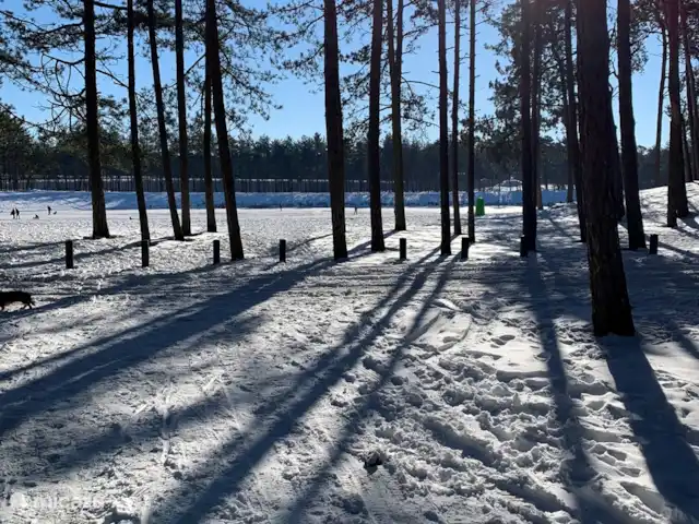 Maison forestière Nunspeet B40 | Pays-Bas, Gueldre, Nunspeet - maison de vacances C'est aussi un bon endroit pour être en hiver... patiner sur le Zandenplas