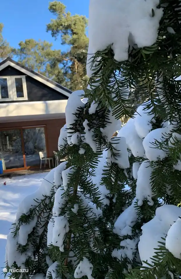 Trinken auf der Terrasse in der Wintersonne