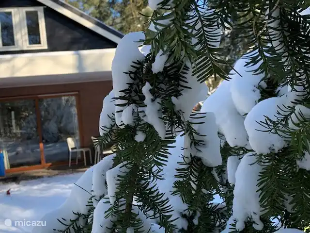Maison forestière Nunspeet B40 | Pays-Bas, Gueldre, Nunspeet - maison de vacances Boire en terrasse sous le soleil d'hiver