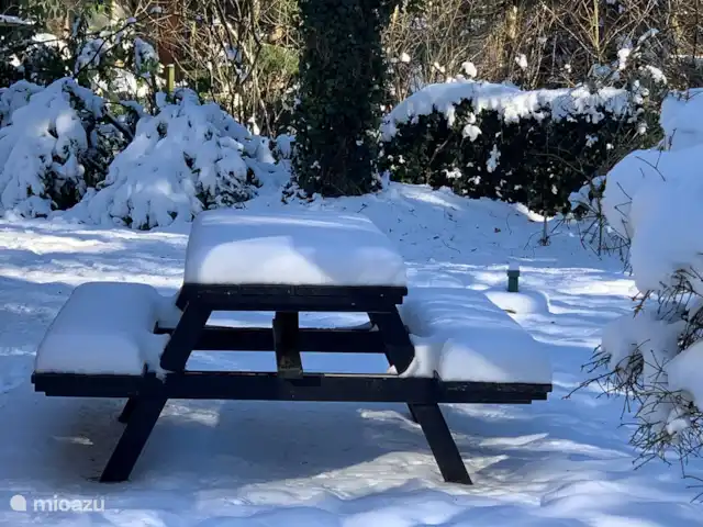 Maison forestière Nunspeet B40 | Pays-Bas, Gueldre, Nunspeet - maison de vacances l'image idéale du soleil, de la neige....