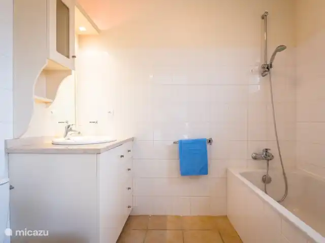 villa huren in Frankrijk, Deux-Sèvres, Les Forges – 32 Le Bois Senis Badkamer (met ligbad en een extra toilet)