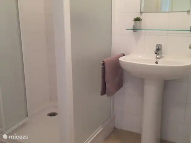 villa huren in Frankrijk, Deux-Sèvres, Les Forges – 32 Le Bois Senis 2e badkamer (met douche)