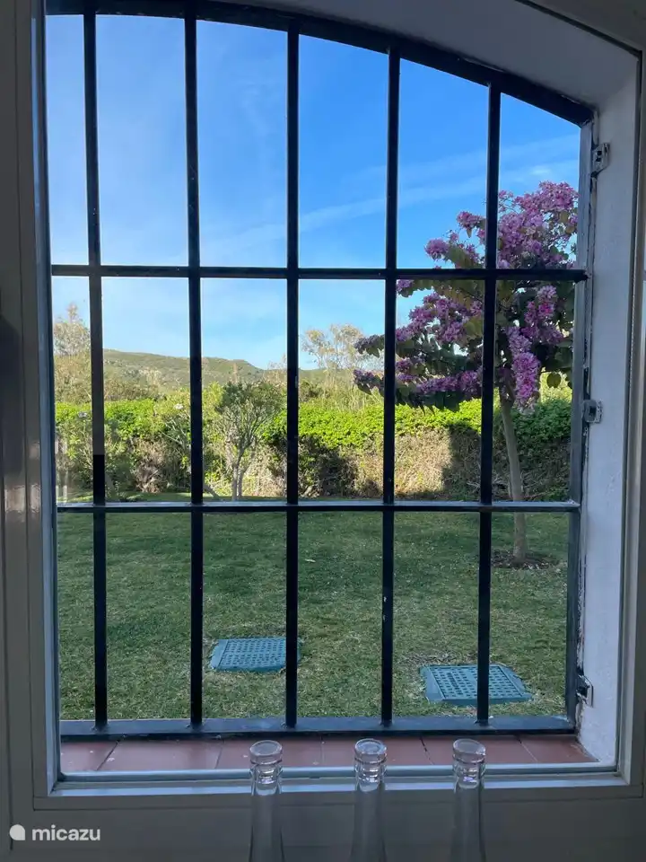 Blick aus der offenen Küche.