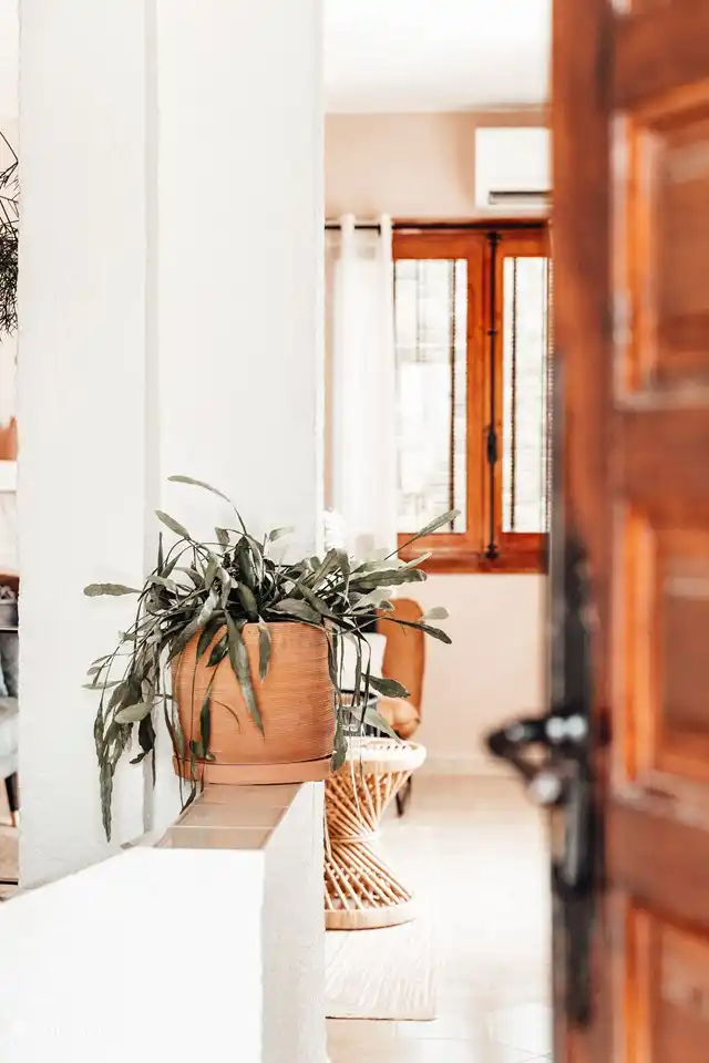 Stimmungsvolles Foto