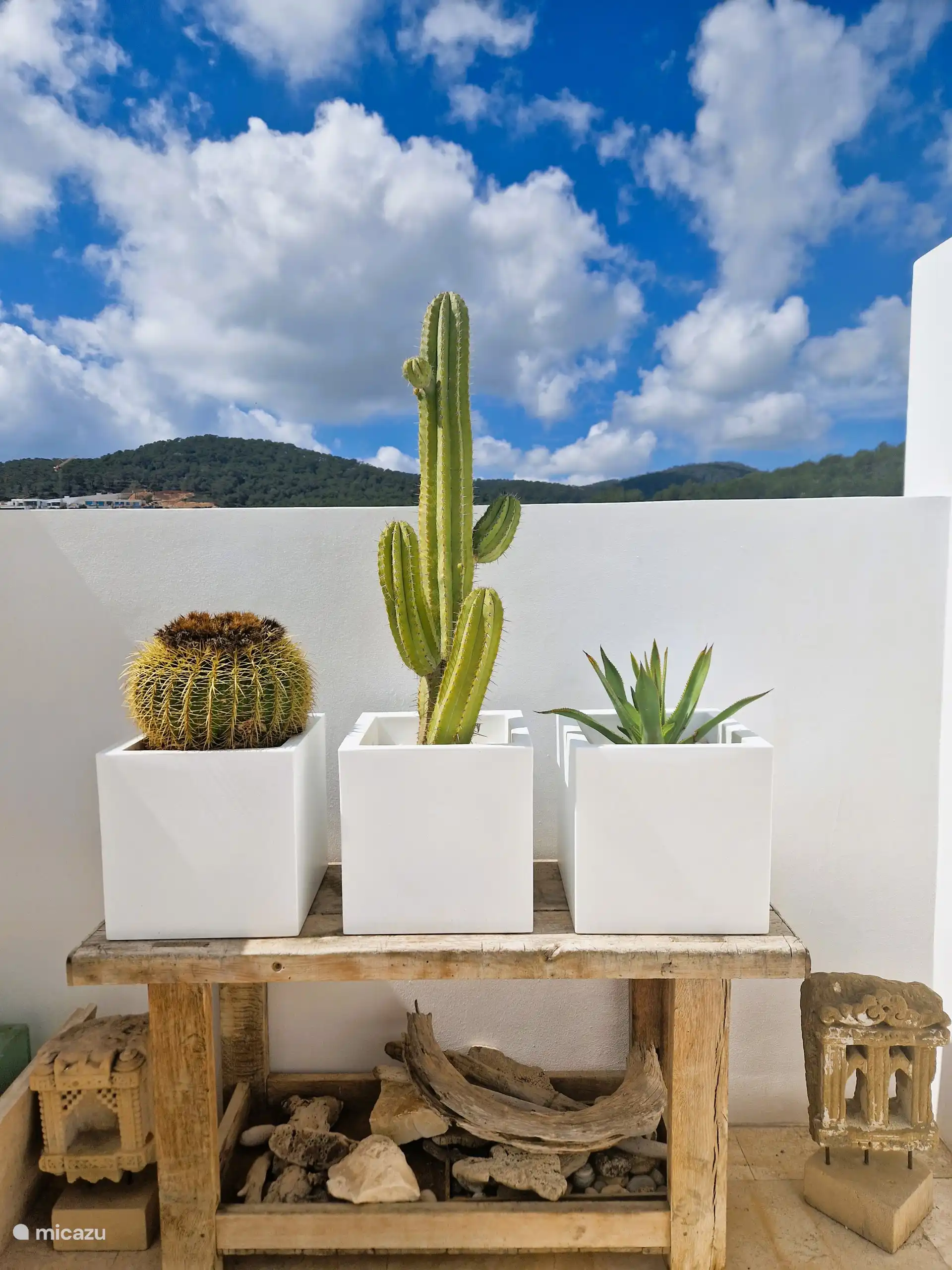 Der ungehinderte Blick auf die grünen Hügel Ibizas.