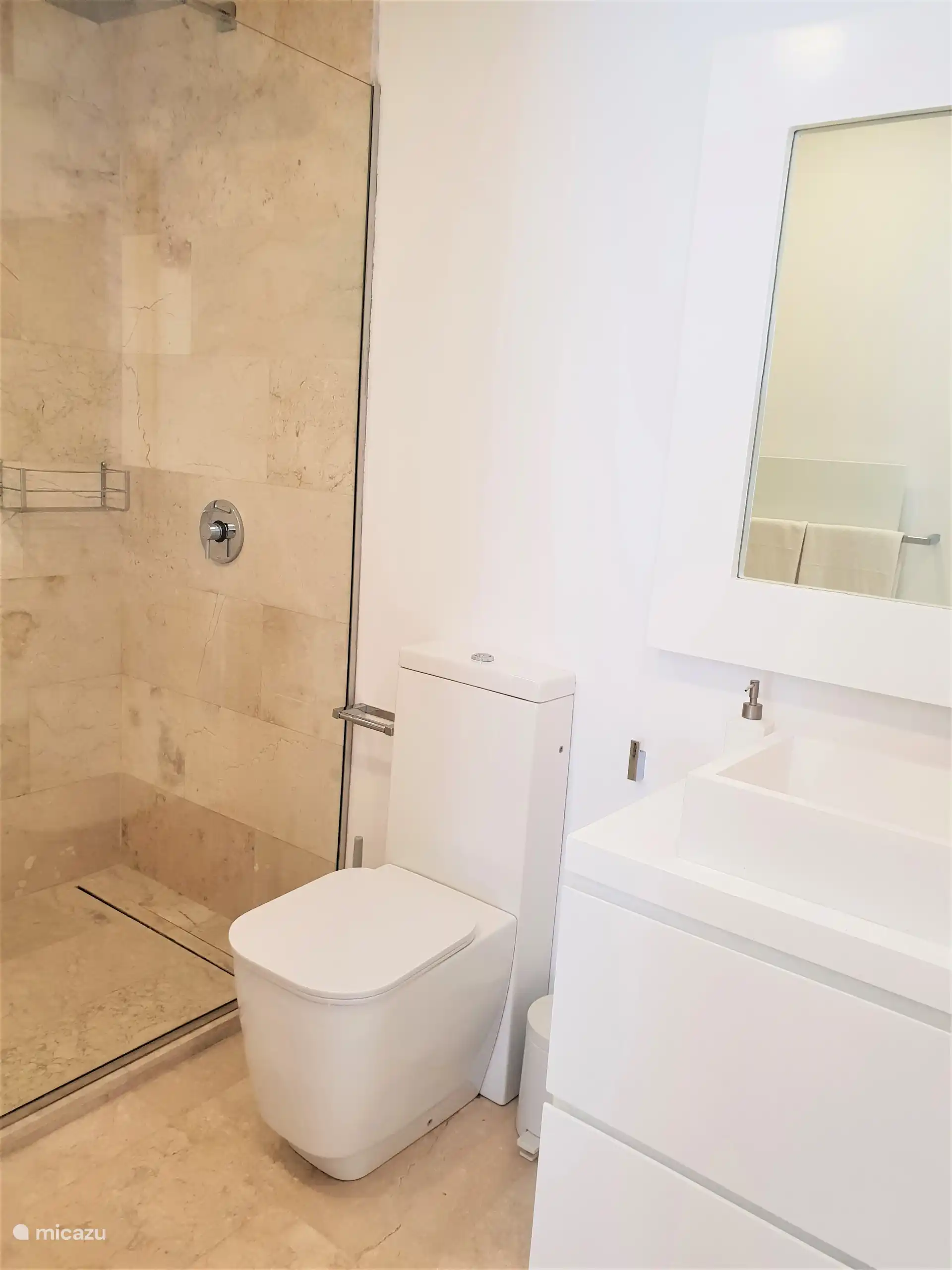 De grote inloopdouche is 2m lang en voorzien van een regendouche.