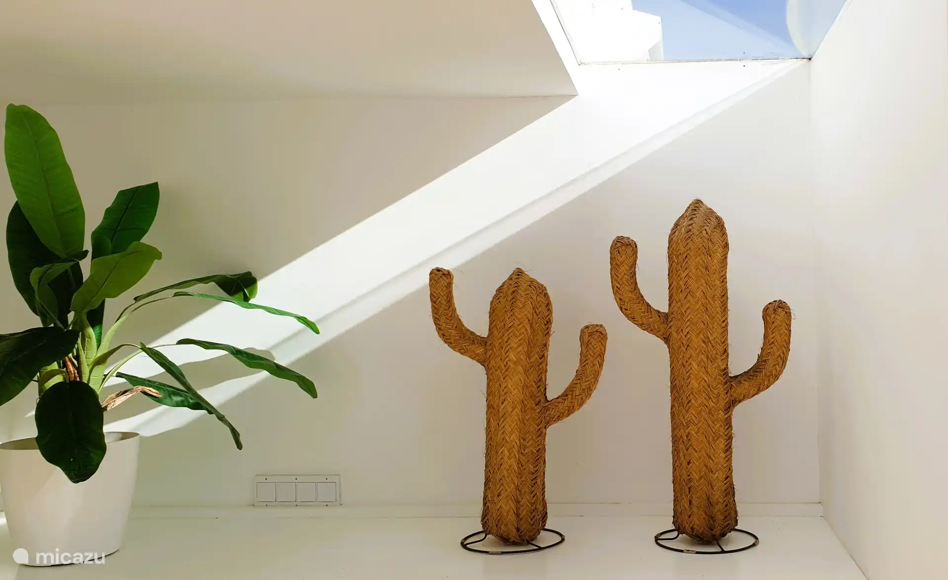 Altijd een happy vibe