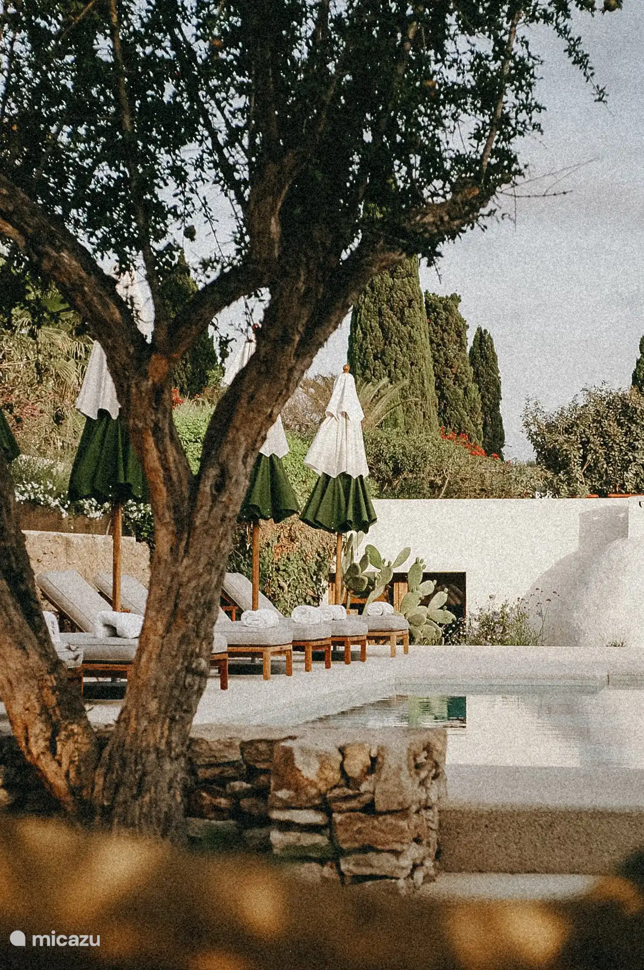 Das Roca House ist ein neuer Hotspot auf Ibiza von einem belgischen Spitzenkoch mit einem schönen Swimmingpool und Sonnenliegen. Oft lustige Veranstaltungen mit Live-Musik.